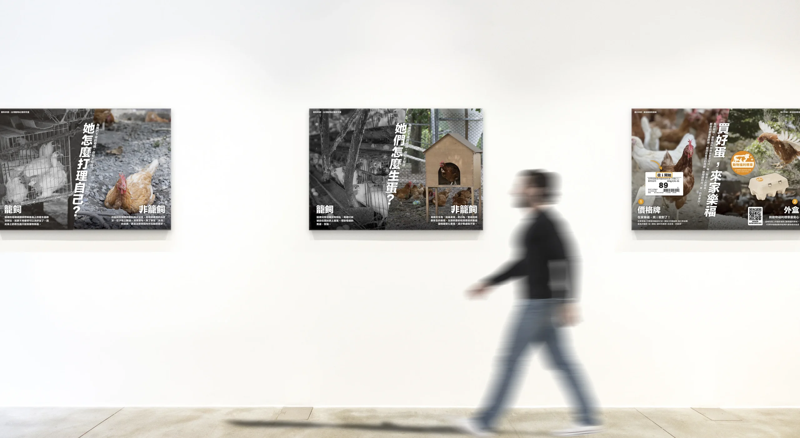 家樂福：籠飼vs非籠飼雞蛋畫布輸出設計